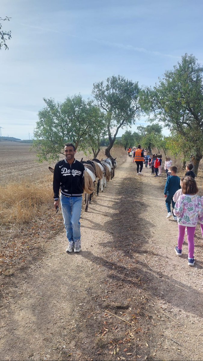 cpsofiatartilan's tweet photo. Hoy los chicos y chicas de 5 años hemos ido a vendimiar a Matallana.

Os dejamos una muestra de lo bien que lo hemos pasado. https://t.co/XvWy5nerg7