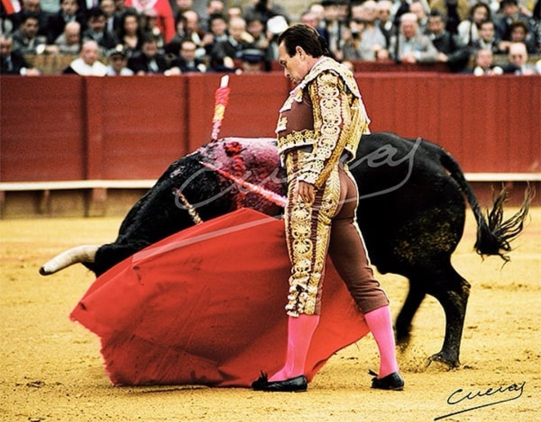 Extraordinario trincherazo del "Faraón de Camas".

-CURRO ROMERO

👉Prohibida su reproducción total o parcial ©®