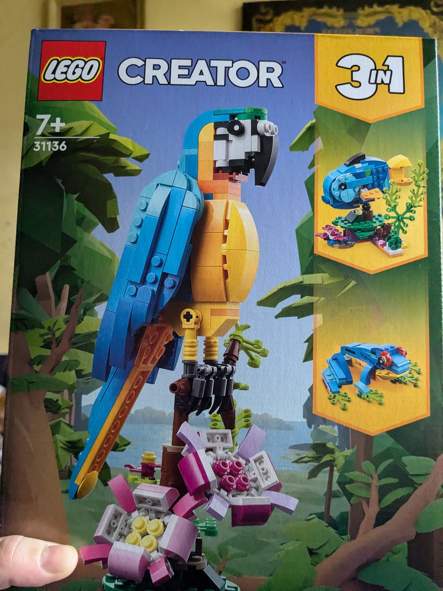 SpacePirateEzra's tweet image. So i got this and im gonna start with the frog #lego #legobuild #legokit #lego3in1