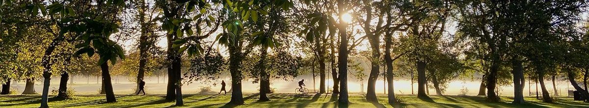 René Mõttus tweet media