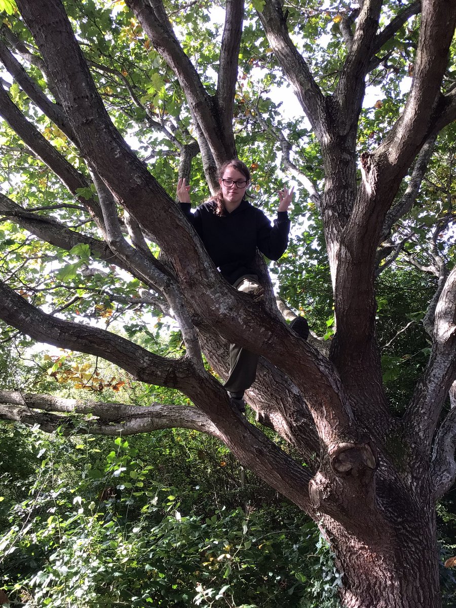 TirMorfa's tweet photo. Exploring, discovering, conserving and sharing during our expedition into the local woods as we practise our John Muir skills #ytmfamau #ytmHCI #ytmwellb @ForestSchools @JohnMuirTrust https://t.co/BYTefLLDId