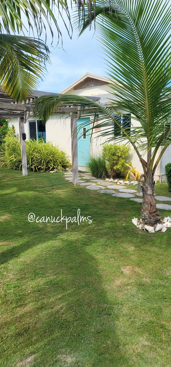 🌴 Welcome to paradise! Step through the vibrant doors of Canuck Palms and let the beauty of Exuma unfold. 🌞🌊 Secluded serenity, endless sunshine, and palm trees swaying in the breeze—your island getaway starts here! 🌺🏡 canuckpalms.com #ExumaEscape #IslandLife