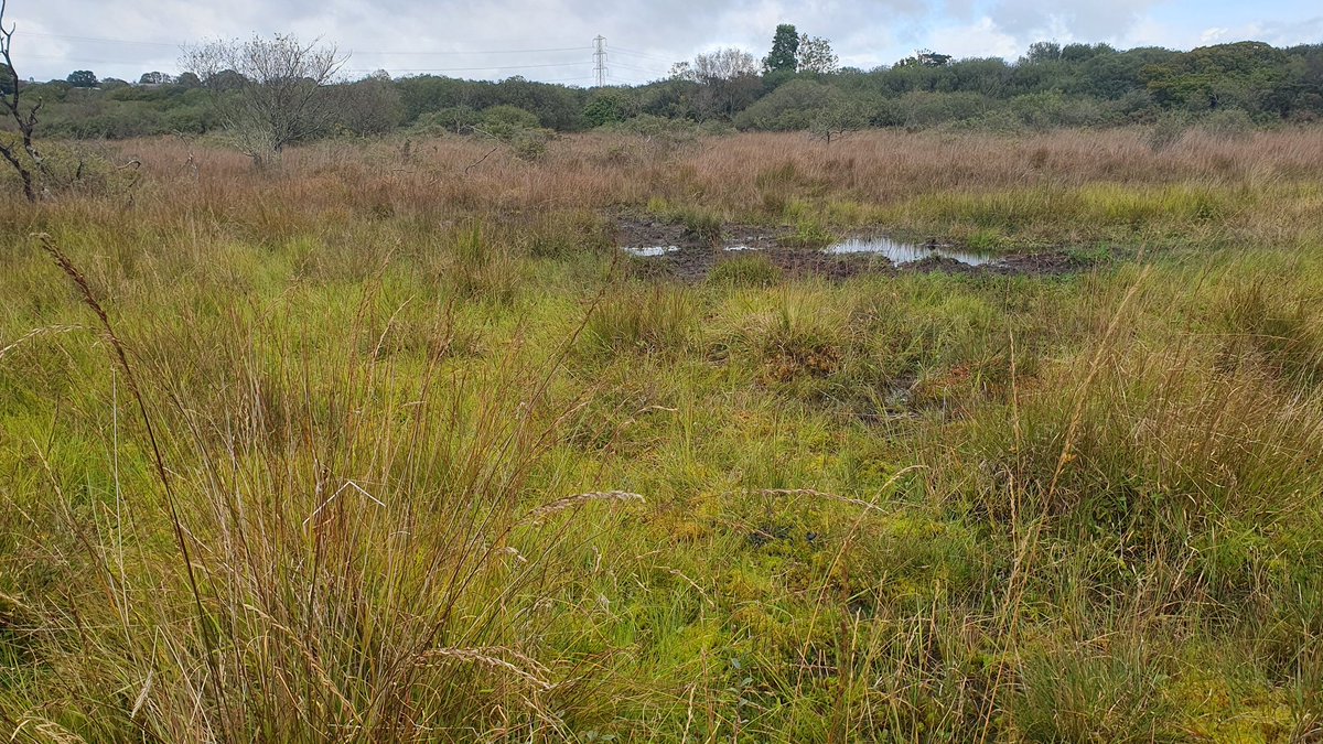 Tylan Berry tweet media