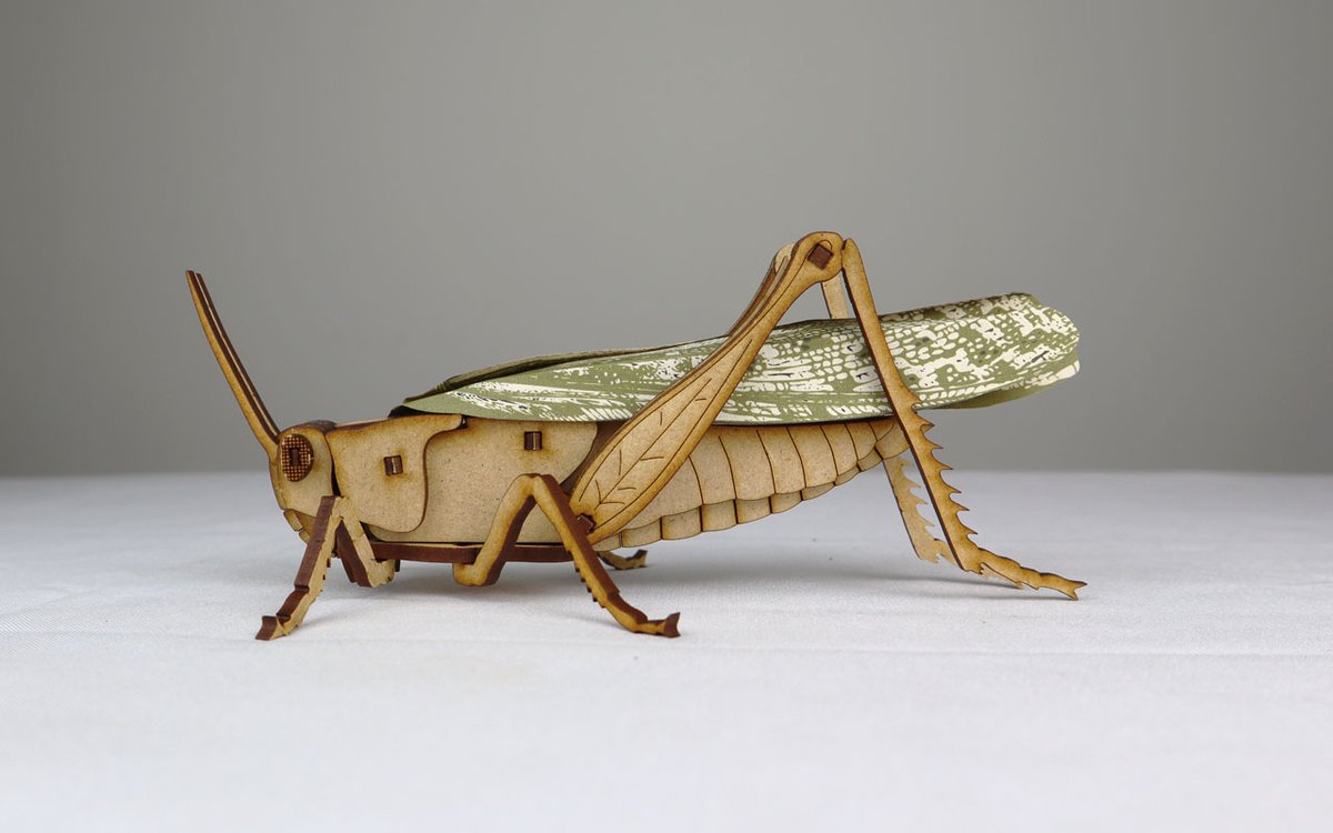 WONDER Artistic Models tweet media