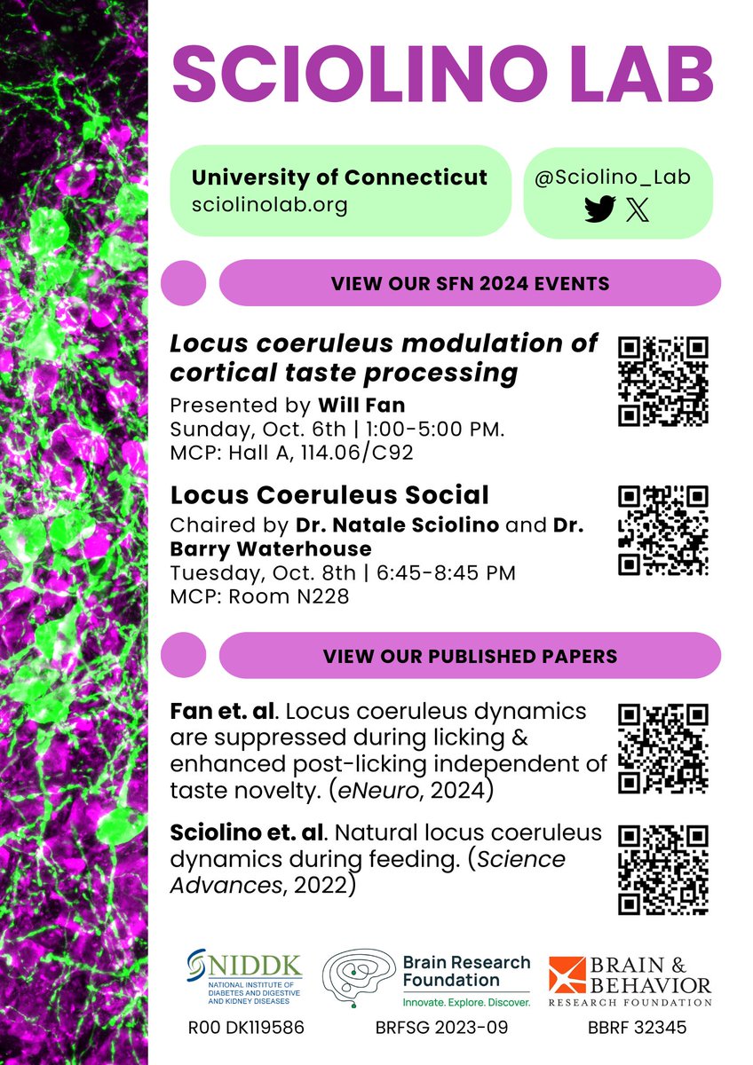 We are making our #SFN2024 conference debut with a poster and Social (co-chaired by <a href="/coeruleanfire/">Barry F. Waterhouse</a>). Check out <a href="/BizarreaObscura/">Will Fan</a>'s poster for our lastest work on the locus coeruleus, and network with researchers studying this interesting brain region.