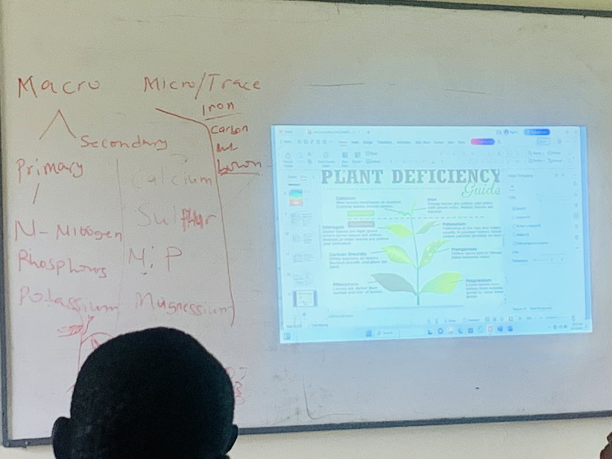 OpeimuTheFarmer's tweet photo. As a youth interested in #Agriculture, I am privileged to be part of the 2024 ACHI-Project. We receive both in-class teachings and practical field experience.
My gratitude to all stakeholders of this impactful and transformational initiative.
#TUDelf #Hollandgreentechghana https://t.co/bB5tEtBI57