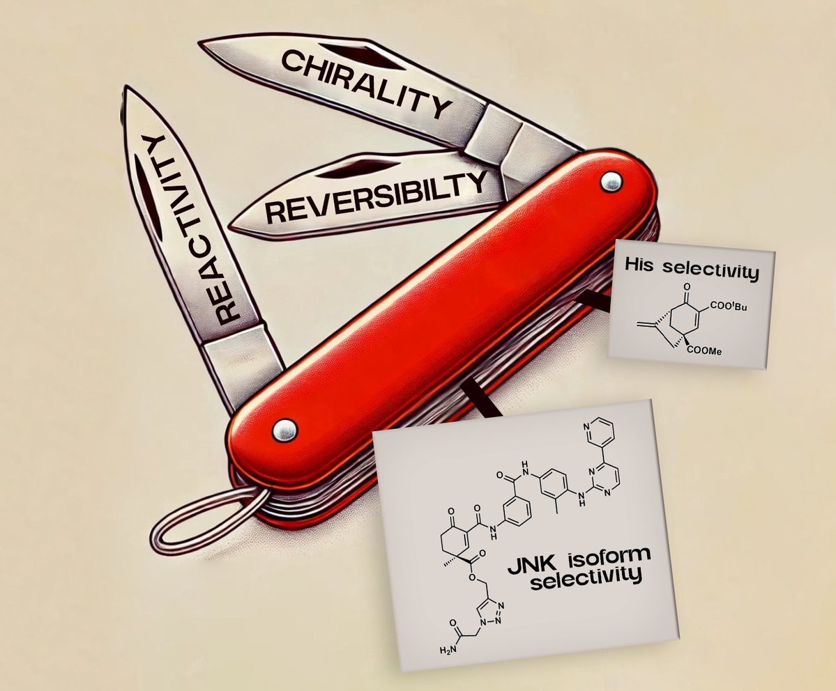 Soos OrgCat Lab (@soosgroup) on Twitter photo When organocatalysis makes a difference!⚗️ Check out our back-to-back papers about the power of novel, terpenoid-like reversible warheads in <a href="/NatureComms/">Nature Communications</a> in collaboration with <a href="/GroupRemenyi/">Remenyi_group</a>
doi.org/10.1038/s41467…
doi.org/10.1038/s41467… When organocatalysis makes a difference!⚗️ Check out our back-to-back papers about the power of novel, terpenoid-like reversible warheads in <a href="/NatureComms/">Nature Communications</a> in collaboration with <a href="/GroupRemenyi/">Remenyi_group</a>
doi.org/10.1038/s41467…
doi.org/10.1038/s41467…