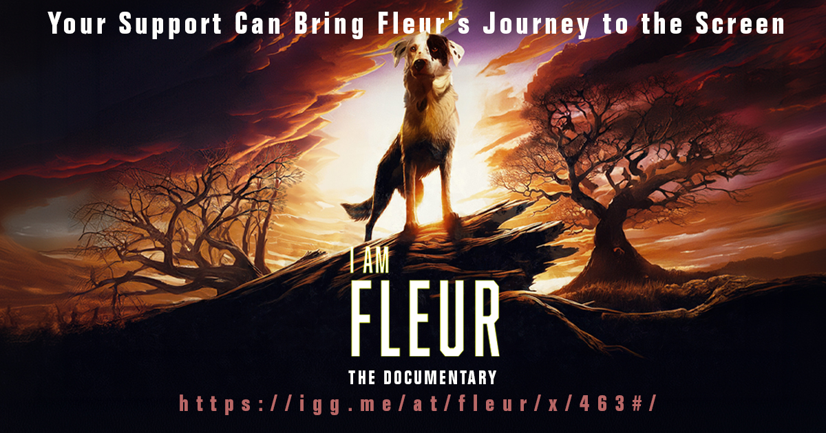 🐾 Help us tell Fleur’s story! 🐾
Support our documentary about her incredible journey from the streets of Romania. Your donation can make a difference! igg.me/at/fleur/x#/
<a href="/nigeldaveyfilms/">NIGEL DAVEY Film Maker</a> <a href="/JohnDaw24019466/">John Dawson</a>  <a href="/chroniclesfleur/">#FilmFleur</a> <a href="/BhamDogsHome/">Birmingham Dogs Home</a> <a href="/PeterEgan6/">Peter Egan</a> 
#rescuedogs #dogs