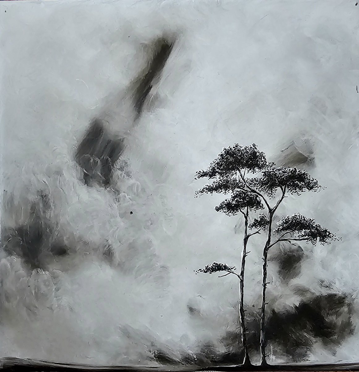 Catrionareids's tweet photo. Getting to that time of year..
Scots Pine
Ink on Ceramic
15x15cm
#scotspine https://t.co/XVVi1dVuFE
