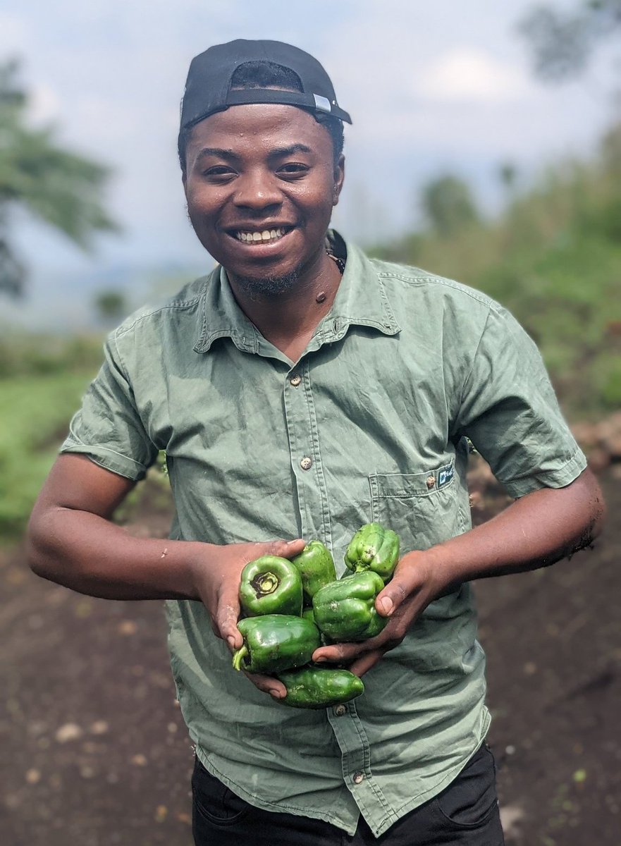 chauffeur243's tweet photo. Un Congolais valeureux qui s'engage à nourrir ses concitoyens en cultivant la terre. 
Un maximum d'encouragement pour ce frère !
@Ghislainkibanc1 félicitations pour ta première culture de poivrons verts !
💪💪💪💪💪💪💪🤣 https://t.co/E54i7AbmoS
