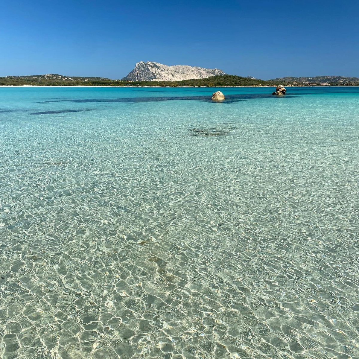 Buona serata 🌆🌇🤗🥂👋