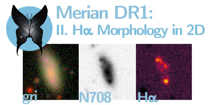 And in the second Merian 🦋 paper out today:

Princeton student Abby Mintz develops methods to turn medium-band imaging into Hα maps, and shows that low-mass starbursts tend to be more compact than  their more massive counterparts.

Read the paper here! arxiv.org/abs/2410.01886
