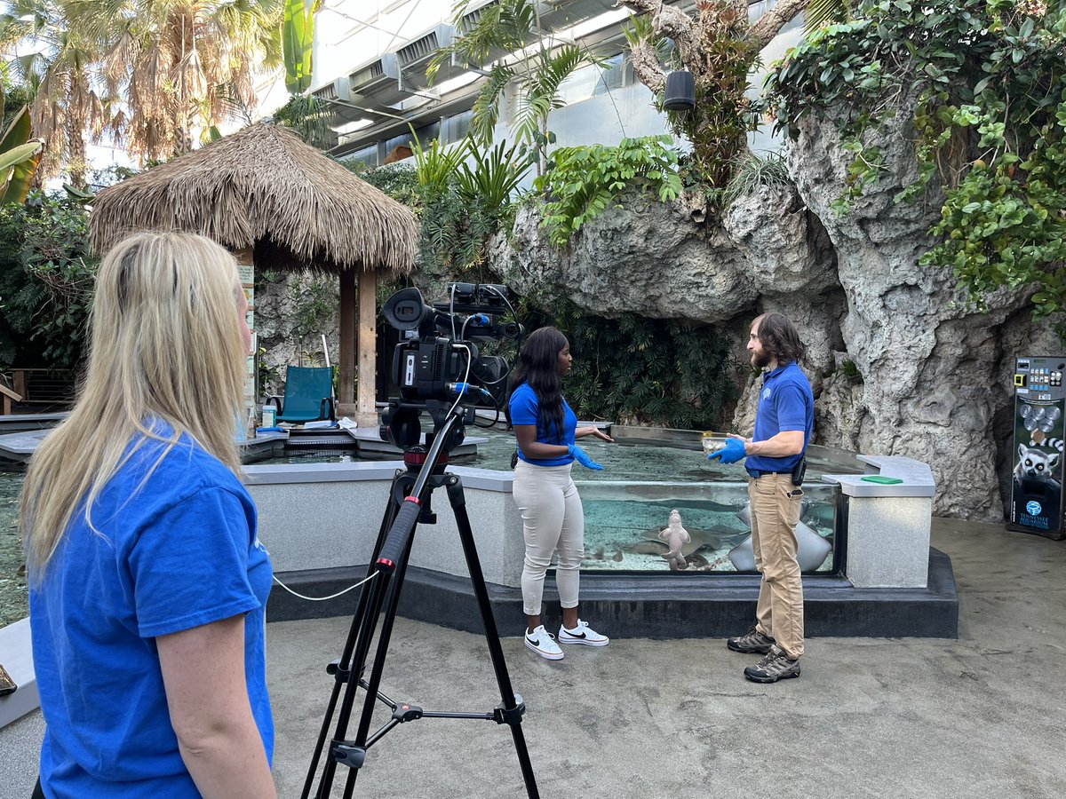 Alison Pryor tweet media