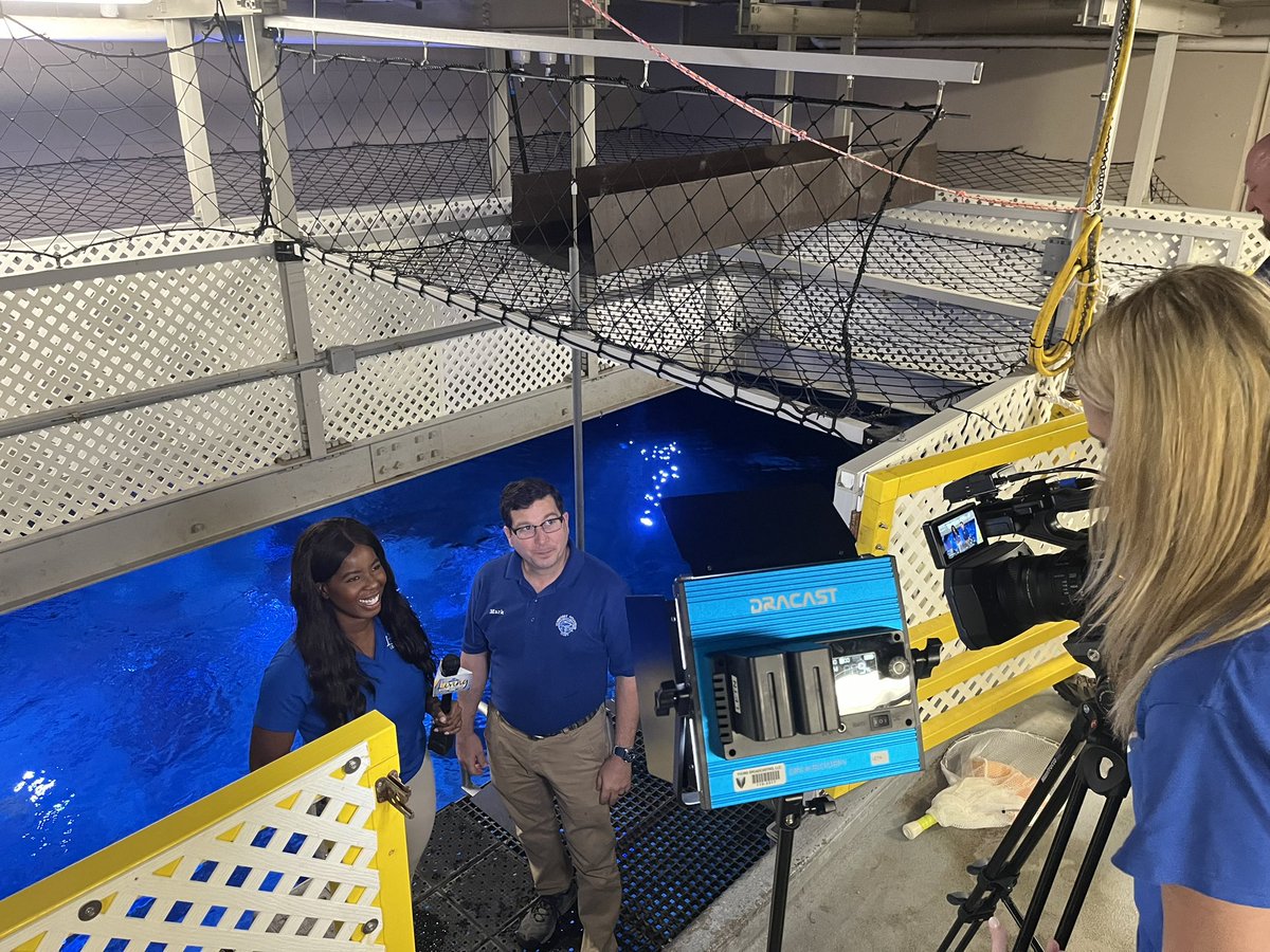 Making sure the folks in Knoxville know about our Chattanooga gem - the <a href="/TNAquarium/">Tennessee Aquarium 🐢</a>… 
<a href="/VeronicaOgbe/">Veronica Ogbe</a> from WATE was at the Aquarium earlier this week, learning about our Stingray Bay, underwater pumpkin carving, and more. Thanks, Knoxville!! 🧡 Come see us during Fall Break!