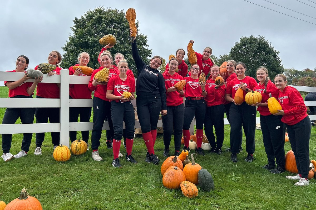 Saint Francis Softball tweet media