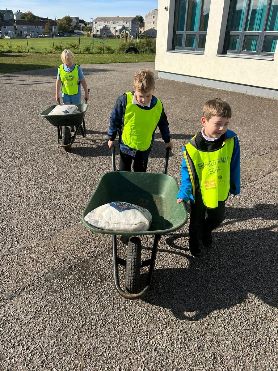 SeafieldHT's tweet photo. ππ We've been taking advantage of the Autumn sunshine this week π and using the opportunity to do some #citizenship jobs π Some #HTAwards and new stickers also issued πβοΈ Well done #teamseafield ππ https://t.co/J5pB0dOBnF