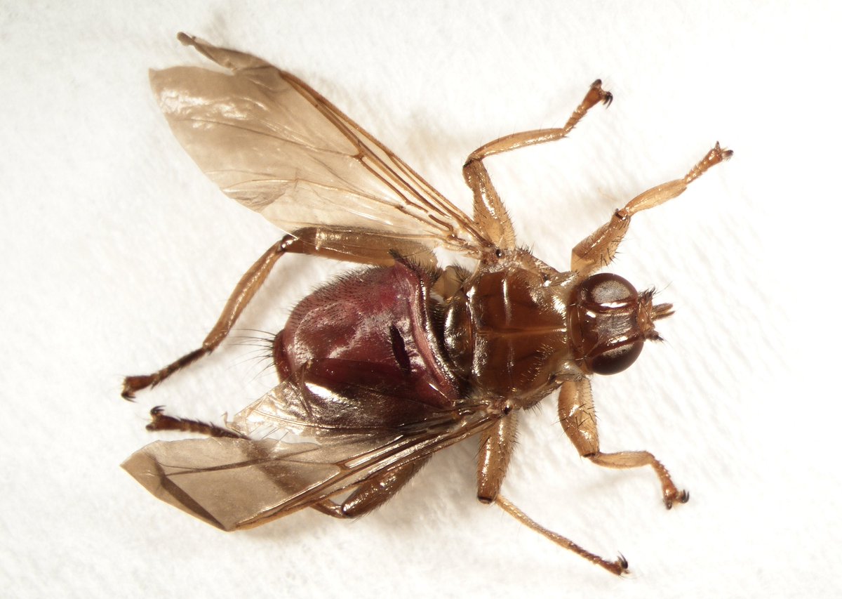 Erika Machtinger (inactive) tweet media