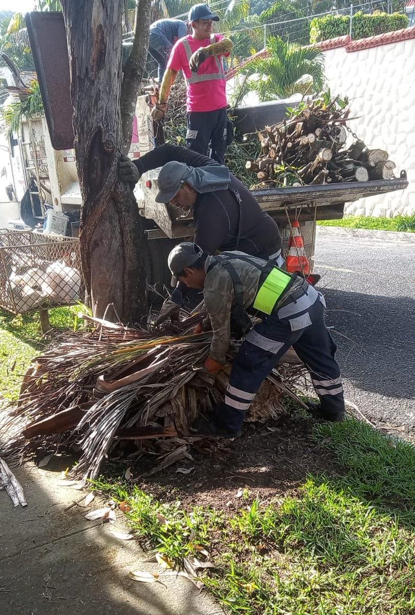 AlcaldiaAntiguo's tweet photo. 🌿 Recolectando ramas en:
📍Calle conchagua
📍Calle Cumbres de Cuscatlán
📍Calle Circunvalación
📍Lomas de San Francisco
.
#DistritoAntiguo #LaLibertadEste https://t.co/dsdeddUmCo