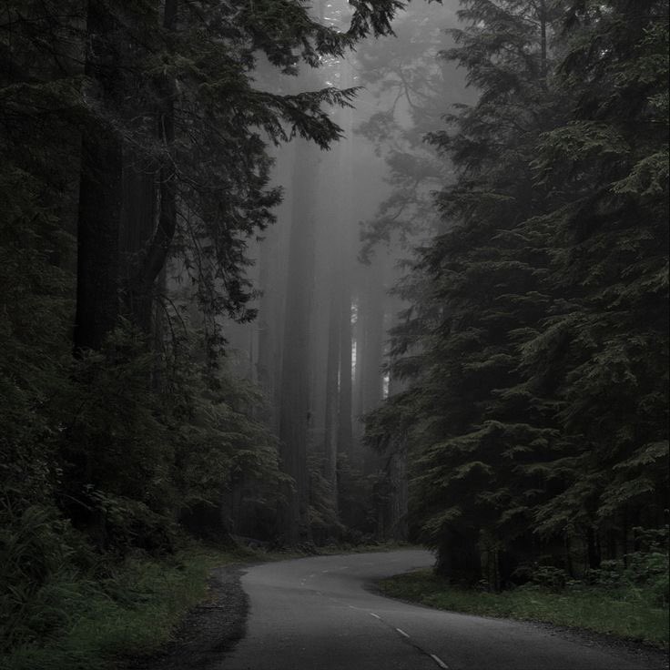 gloomy.