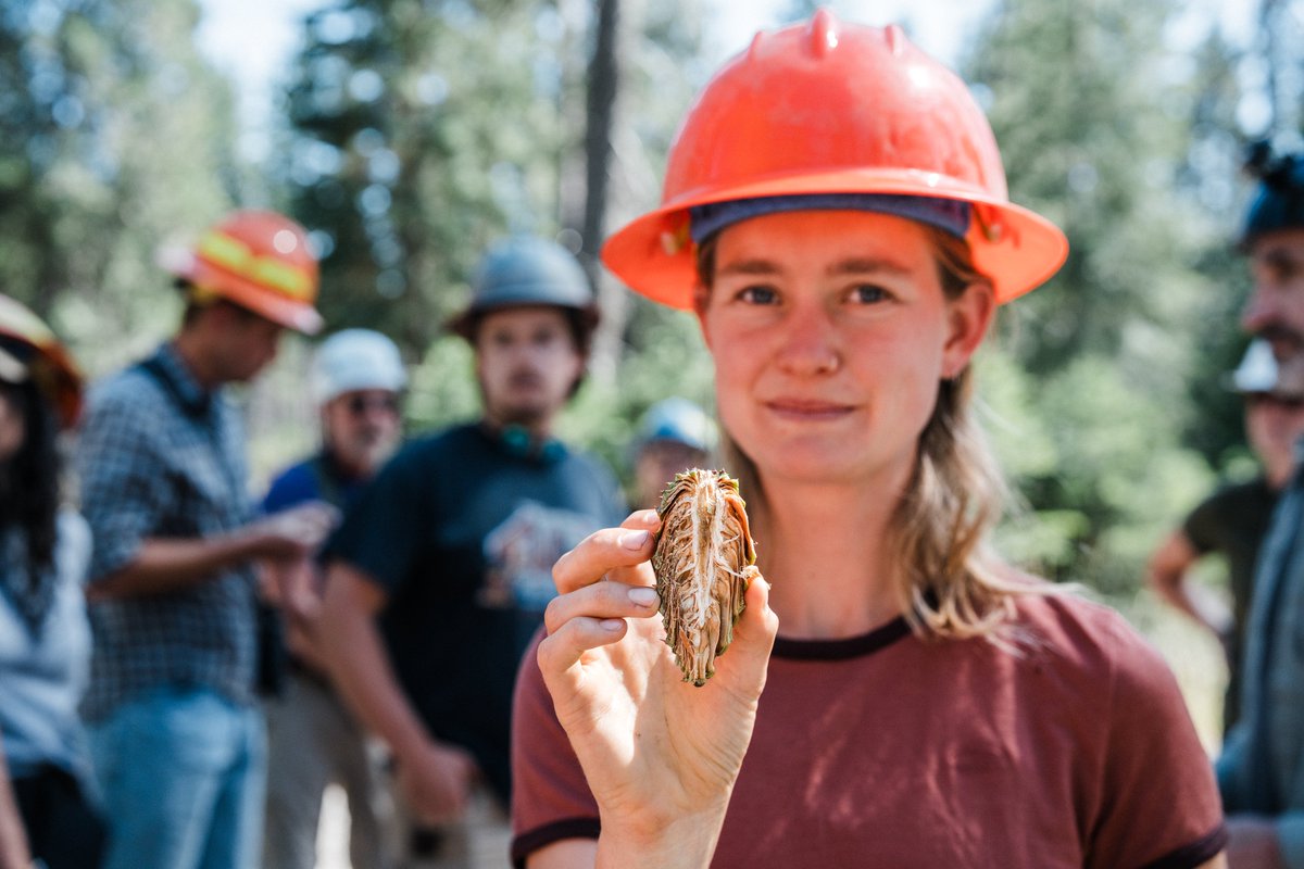 AmericanForests's tweet photo. Welcome to Cone Camp, where forestry professionals gain the skills needed for #reforestation from California’s conifer seed experts. 

Check out our latest blog to learn more from some of our recent campers: https://t.co/TIbRo2gtE4 https://t.co/zfIjbI52eF