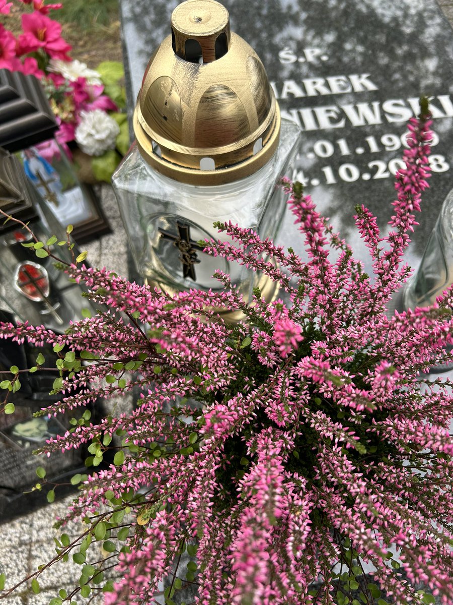 „Nie jesteś już tam, gdzie byłeś, ale jesteś wszędzie tam, gdzie my jesteśmy" 

Jak co roku odwiedziliśmy grób naszego przyjaciela Marka Wiśniewskiego, ikony toruńskiego futsalu i jednego z założycieli FC Toruń. 

Dzisiaj mija 6 rocznica śmierci Marka. 

Pamiętamy! #MW6