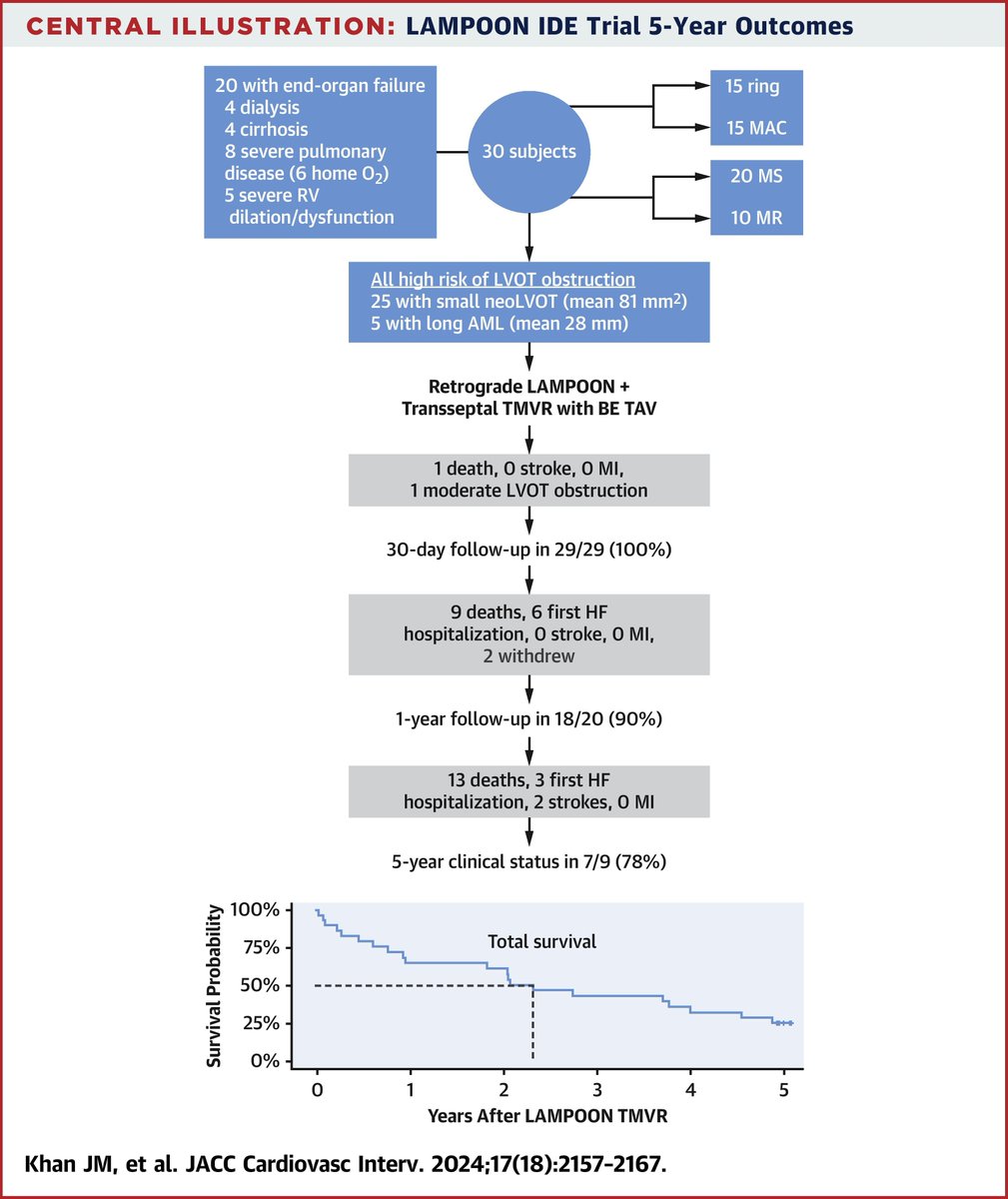 JACC Journals (@jaccjournals) on Twitter photo LAMPOON enabled #TMVR despite the risk for #LVOT obstruction. There were no long-term complications assoc w/ LAMPOON. The selection of inoperable pts limited assessment of long-term survival following TMVR bit.ly/4h6fH4H
#JACCINT @TheBethesdaLabs <a href="/CathElectroSurg/">Jaffar Khan</a> LAMPOON enabled #TMVR despite the risk for #LVOT obstruction. There were no long-term complications assoc w/ LAMPOON. The selection of inoperable pts limited assessment of long-term survival following TMVR bit.ly/4h6fH4H
#JACCINT @TheBethesdaLabs <a href="/CathElectroSurg/">Jaffar Khan</a>