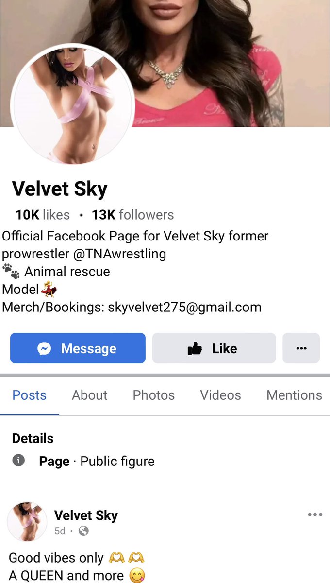 Velvet Sky tweet media