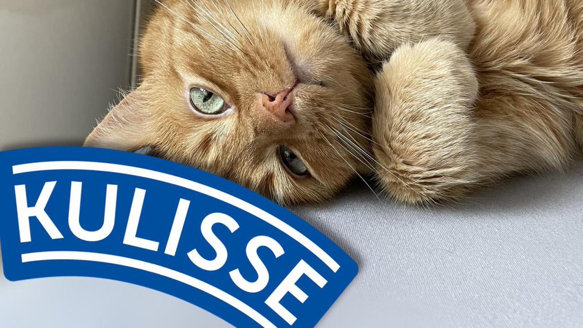 Zum Welttierschutztag denken wir nicht nur an unsere tierischen Freunde, sondern auch an ein tierisch gutes Event am Montag: ,Katze im Sack' mit <a href="/KlausOppitz/">Klaus Oppitz</a>, Angela Ascher, Ludwig Müller und Thomas Gassner! Wir freuen uns auf euch 💥