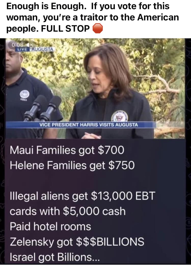 Alissa4TheUSA's tweet photo. @elonmusk @fema If you vote Democrat, you are a traitor to America! https://t.co/gfEEXLX5zp