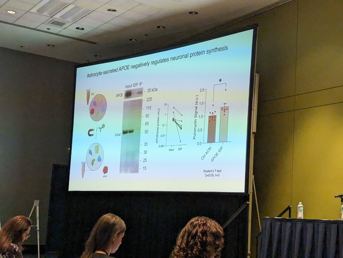 MCCStweets's tweet image. Wendy Liu from @KlannLab at @nyuniversity presenting her work on astrocytic regulation of protein synthesis in neuronal plasticity.
#MCCS24