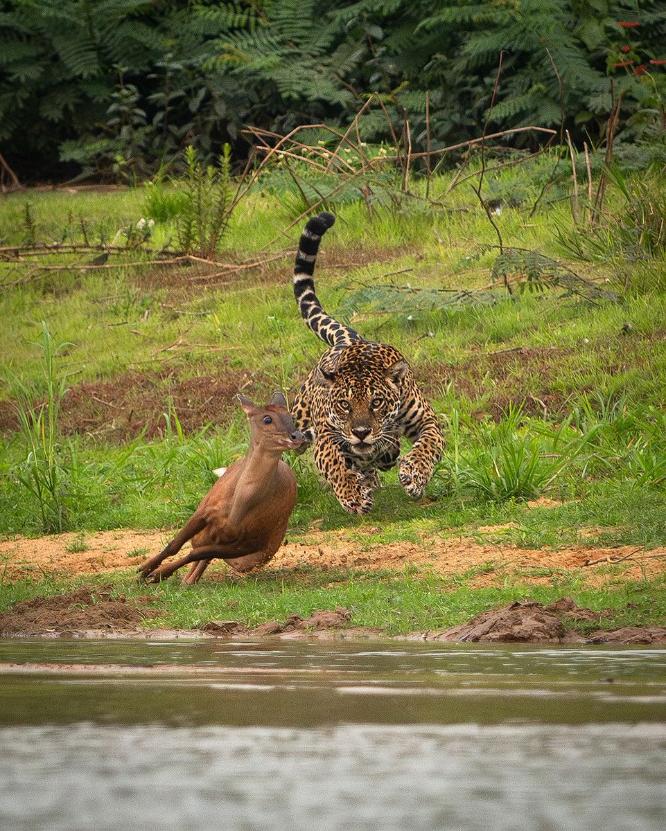 🌴 Vagrant 🌴 (@vagranttravels) on Twitter photo 