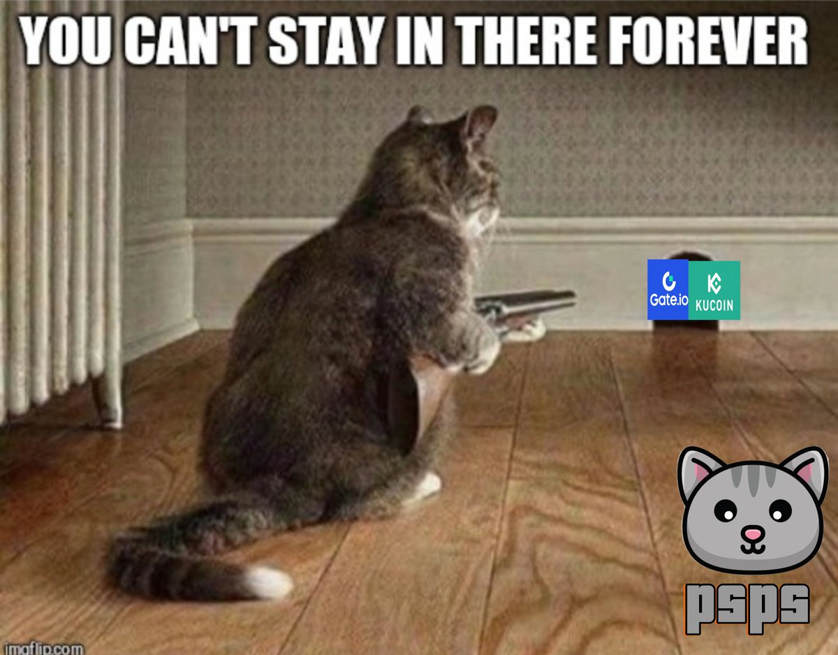 Underproject2's tweet photo. You can't watch us through that hole forever. #Gateio #kucoin #cats #animal $btc $eth $psps $doge #memecoin https://t.co/OOqI4Ocr0S