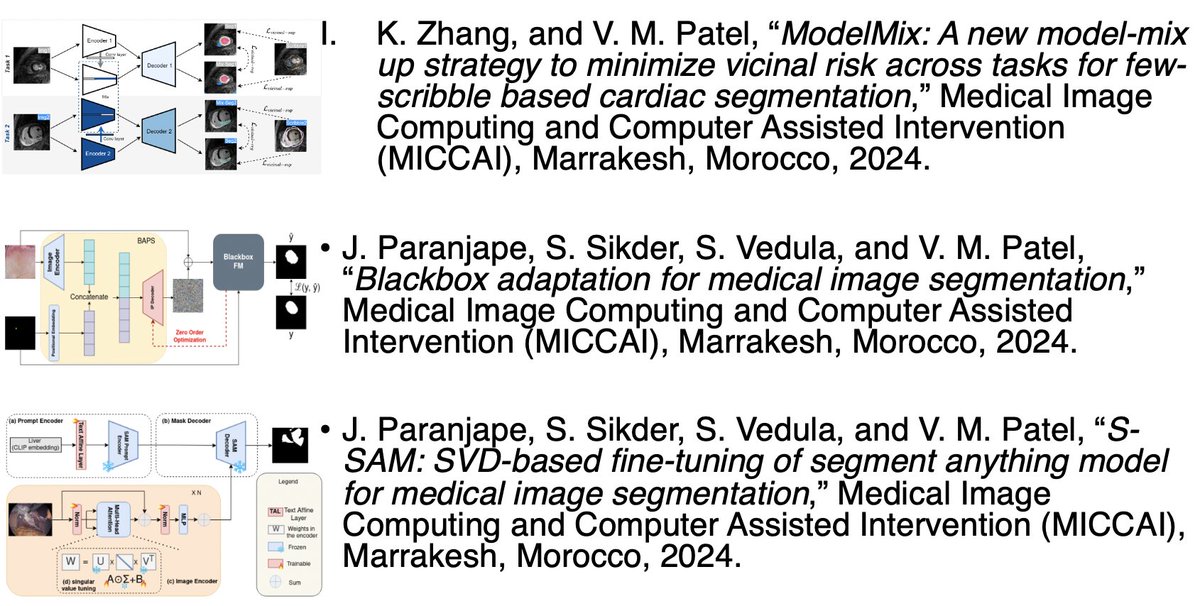 Excited to share that we will be presenting multiple papers at #MICCAI2024 next week! Looking forward to discussing our latest research on medical image segmentation and black-box adaptation. See you in Marrakesh! <a href="/ShameemaSikder/">Shameema Sikder, MD</a>  <a href="/JayParanjape99/">jay paranjape</a> <a href="/JHUCompSci/">JHU Computer Science</a>  <a href="/HopkinsDSAI/">Johns Hopkins Data Science and AI Institute</a> <a href="/JHUECE/">JHU ECE</a>