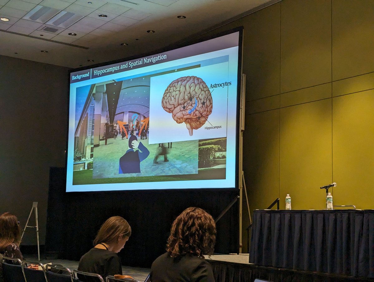 MCCStweets's tweet image. Presentation by @rkcldk2 in @yongseoklee7 lab at @SeoulNatlUni, investigating astrocytic modulation of place field activity.