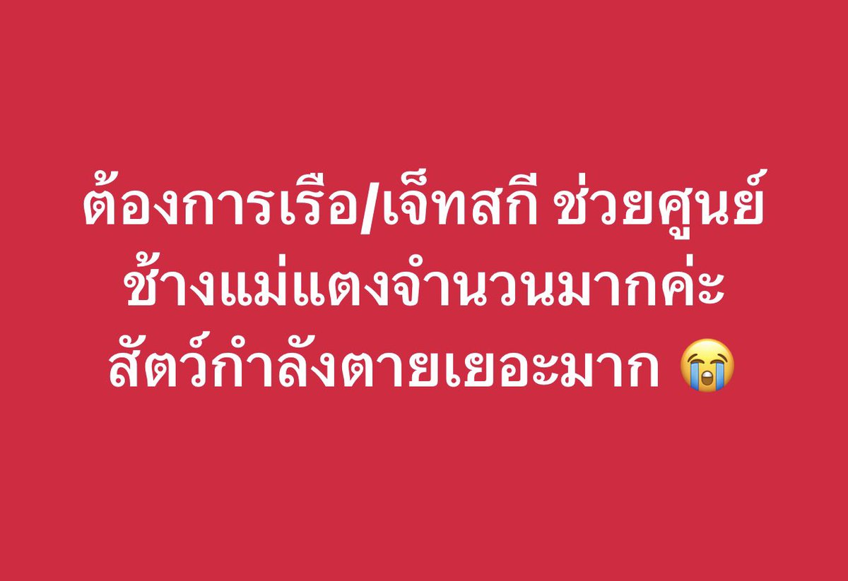 nicha98_A's tweet photo. รบกวนช่วยรี เป็นกระบอกเสียงให้ด้วยค่า  🙏 #น้ําท่วมเชียงใหม่ #เชียงใหม่ #น้ำท่วม https://t.co/idSnQHL5JB