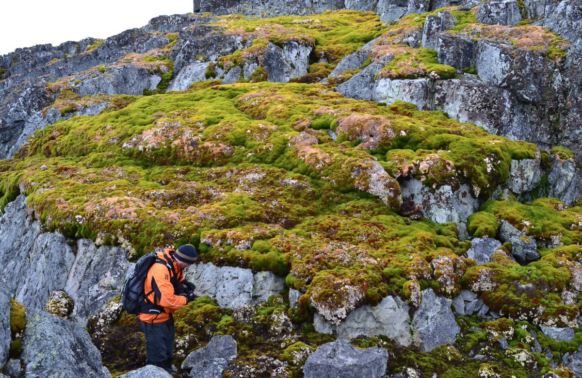 Audrey Garric tweet media