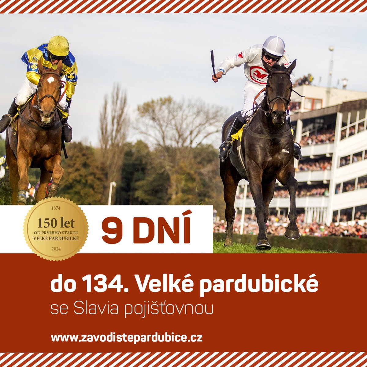 Vítězové Velké pardubické  žokej Jan Faltejsek s klisnou ORPHEE DES BLINS v roce 2014 🏆  Francouzská dáma je jedinou klisnou s čistým hattrickem, suverénně vyhrávala v letech 2012, 2013, 2014 👑
zavodistepardubice.cz/134-velka-pard…
#dostihypce  #velkapardubicka #slaviapojistovna