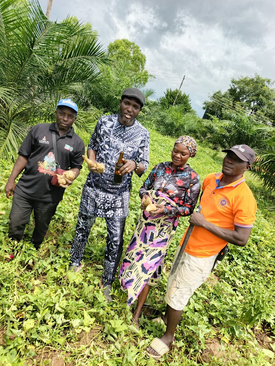 RetsonTedheke01's tweet photo. #Agbatoken: Our Sweet Potatoes Will Be Harvested This Week.
Rural Nigeria is a Productive Goldmine, Why Nigeria is Not Taking Advantage of Rural Agricultural Productive Nigeria is a Puzzle.
For Nigeria to Work, Nigeria Must Farm. https://t.co/nrFKFcVW1a