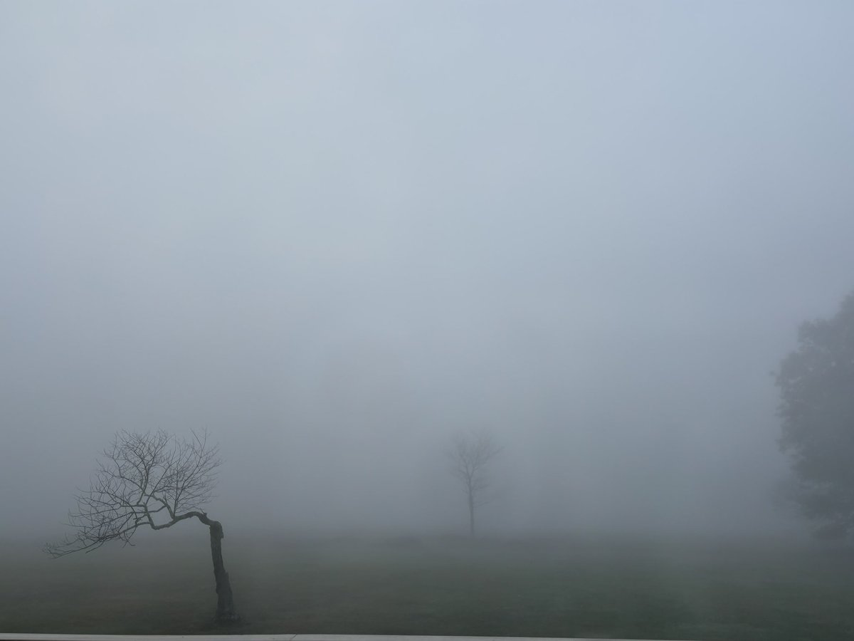 Pensive foggy morning in Canaan valley West Virginia …