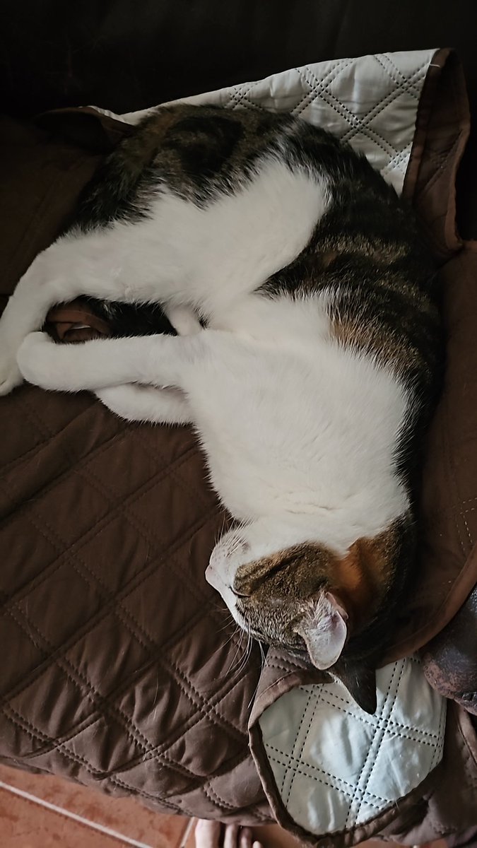 Torsten Heinrich tweet media