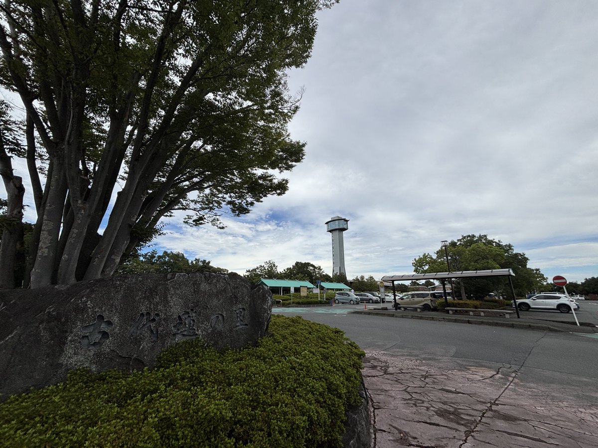 _monogatari__'s tweet image. 聖地巡礼①
るーぱん わたぼくコーヒー 古代蓮の里
 #埼玉の女子高生ってどう思いますか