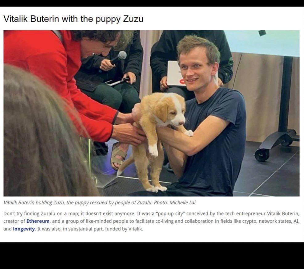 Zuzu_erc's tweet photo. @mishactoglobal Congrats #misha 👋 and keep an eye 👀 $zuzu @VitalikButerin adoped dog #Ethereum #Memecoin2024 $shib $neiro $doge https://t.co/jnvjBE3y4r