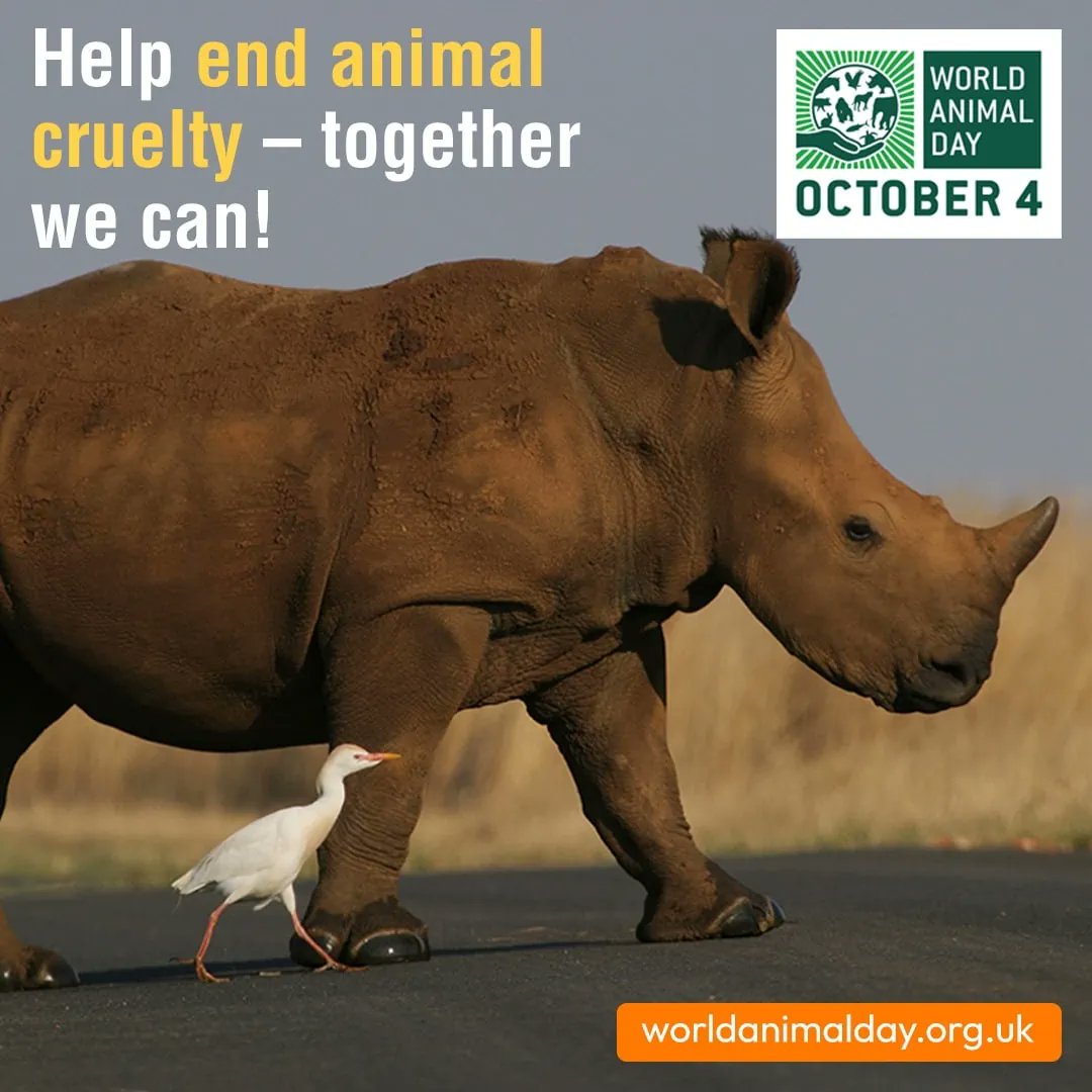 Humane World for Animals UK tweet media