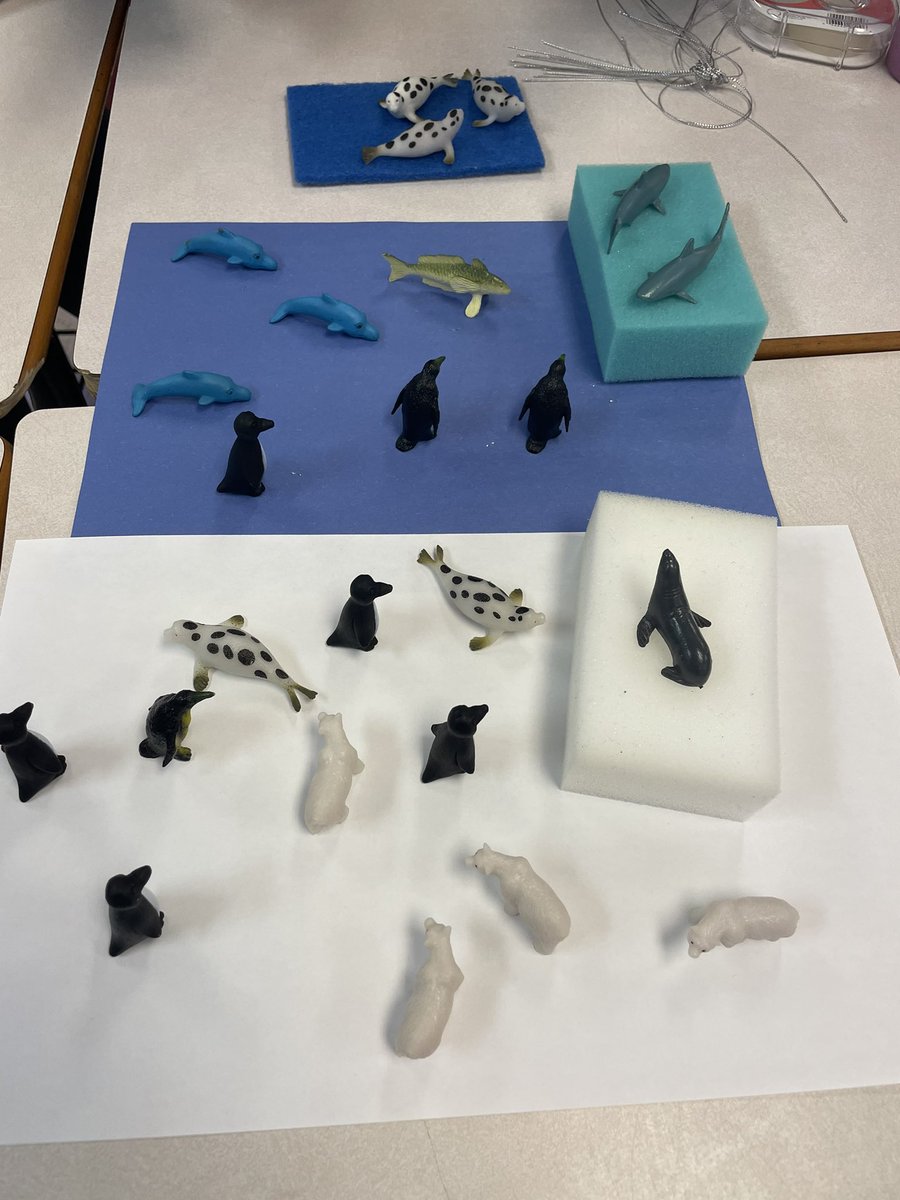 <a href="/VillanovaSchool/">Villanova Jr. High</a> 7-5 showing levels of organization and creating ecosystems! Some hands on Science!