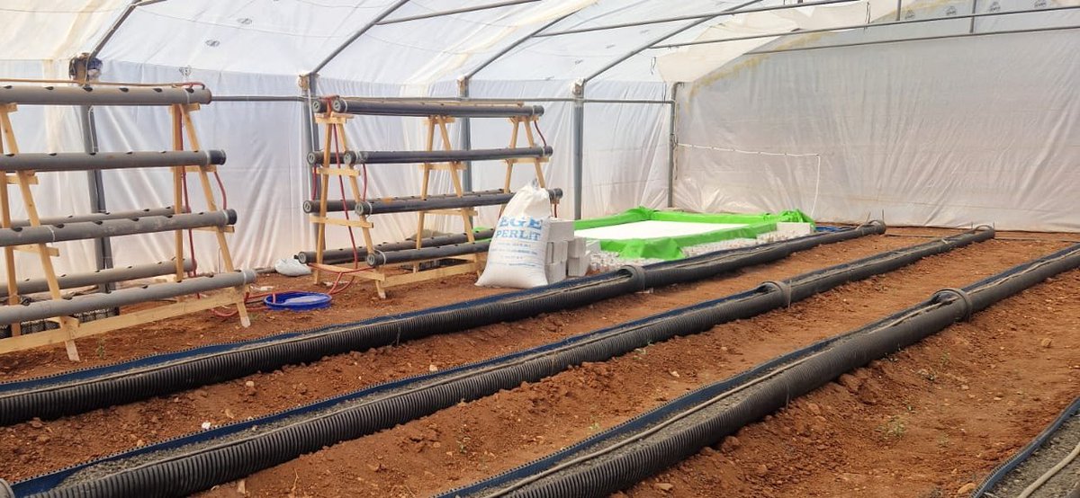 Syrian Academics Expertise tweet media