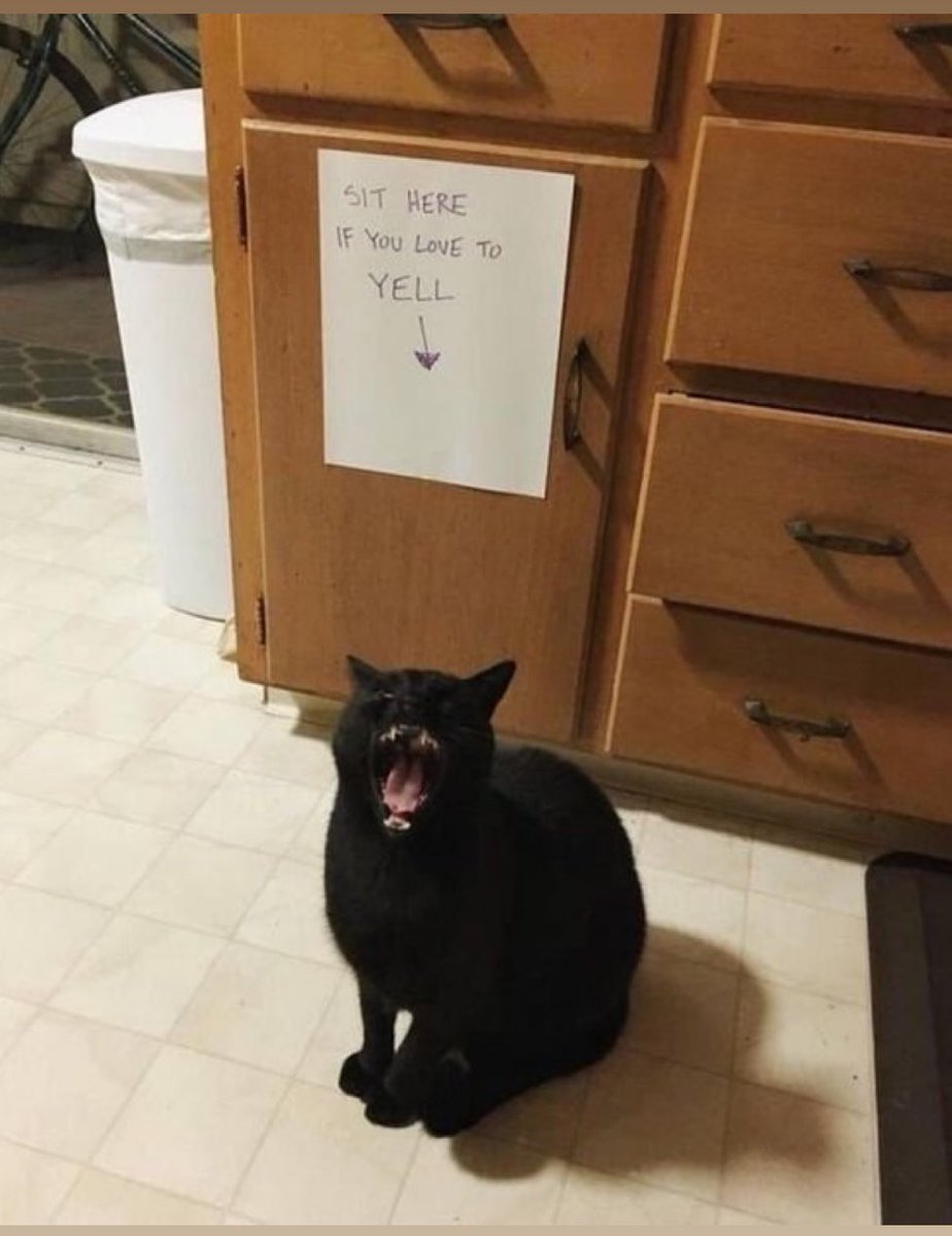 the prophecy has been fulfilled