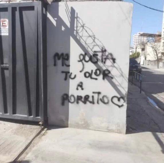 Una declaración de amor🌱