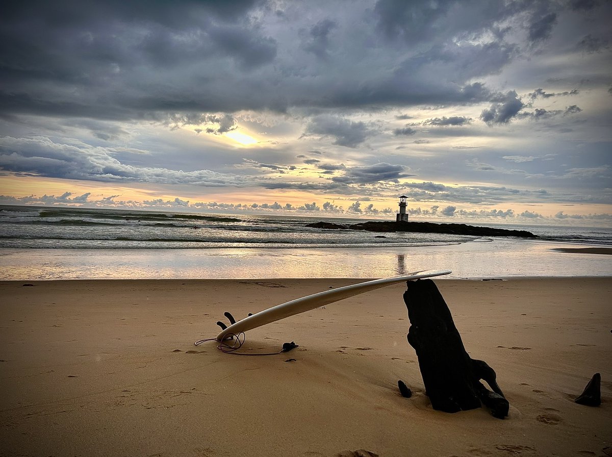 Steve Tatham tweet media