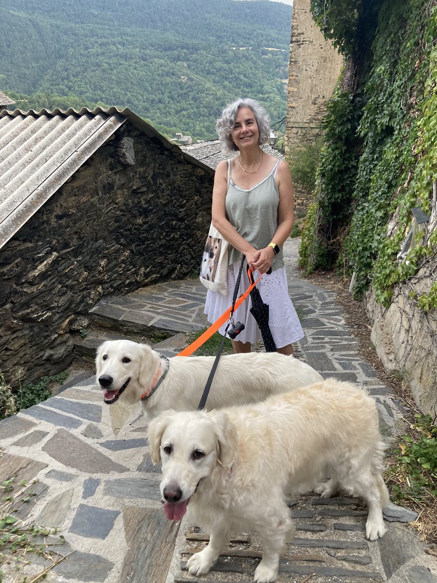 pcaballe2's tweet photo. 🐶 Ens veiem a la primera edició de la Fira de Benestar Animal que es fa a Tortosa, demà dissabte.
Si us agraden els animalets com a mi, segur que us interessa el seu benestar.
No hi falteu! Jo hi seré. https://t.co/1eShHNIgbJ