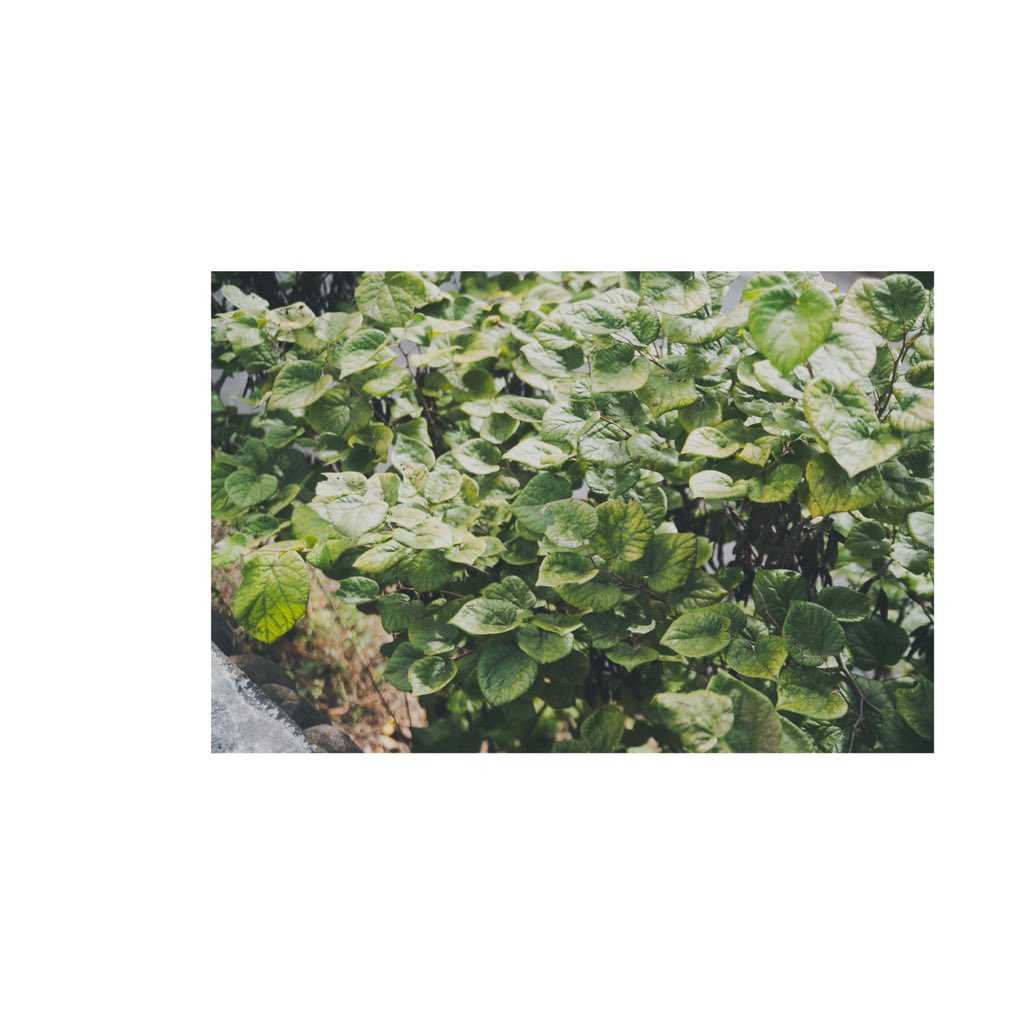 Mori (@cooom_1525) on Twitter photo 